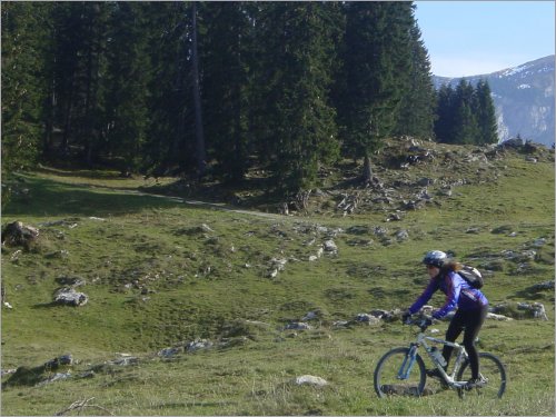 biking offroad - lberg