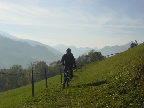 perfect short grass to enjoy the ride!