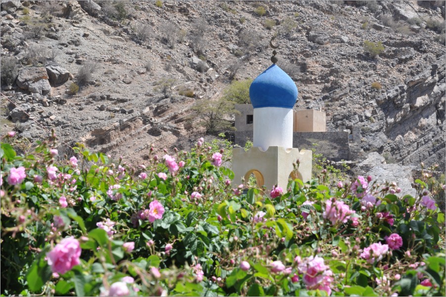 we drive to the stunning village of al-ayn, the rose village on jebel akhdar
