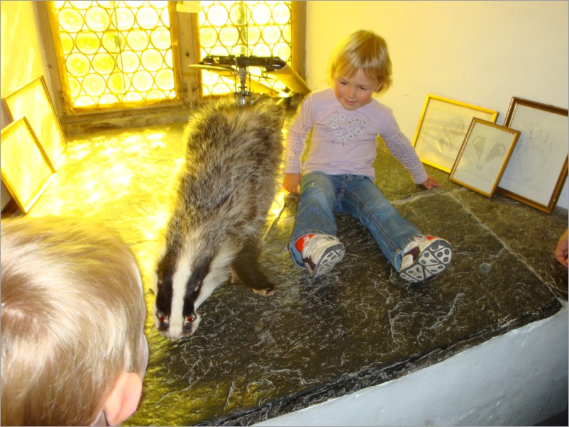 frechdachshelikopter and maleah in the castle