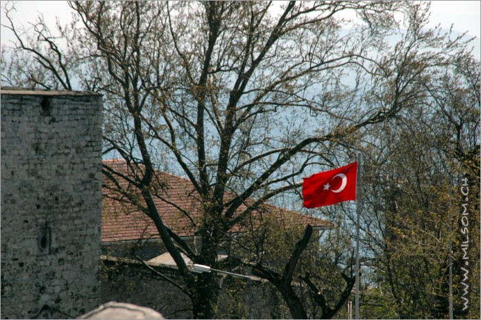 turkey