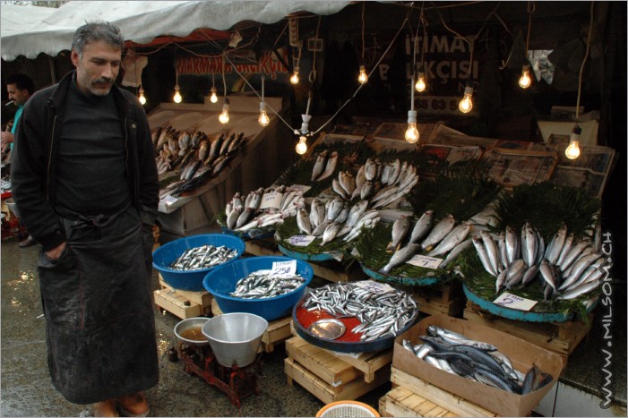 fishmarkets