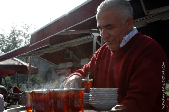 tea - chai