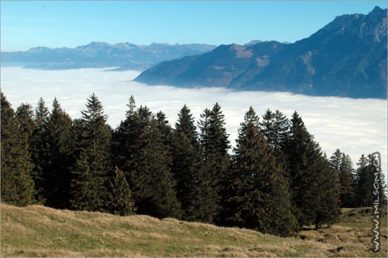 a thick sea of mist in the valley