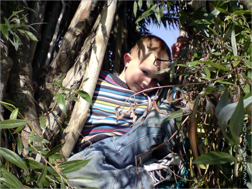 nanouk in a tree-house